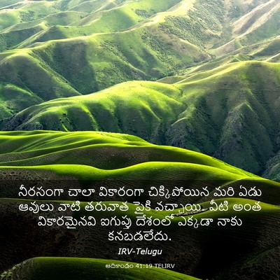 Picture 03 - ఆదికాండం 41:19 TELIRV - నీరసంగా చాలా - Bible Verse Picture