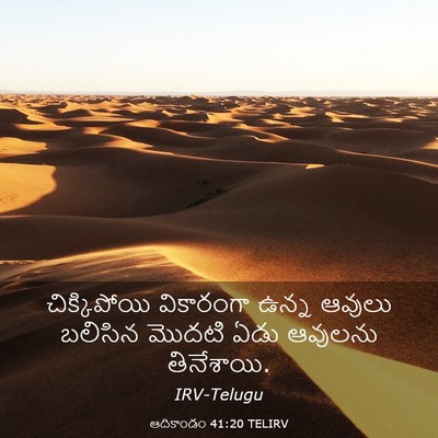 Picture 03 - ఆదికాండం 41:20 TELIRV - చిక్కిపోయి - Bible Verse Picture