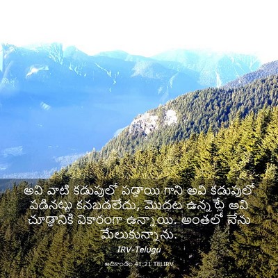 Picture 03 - ఆదికాండం 41:21 TELIRV - అవి వాటి కడుపులో - Bible Verse Picture