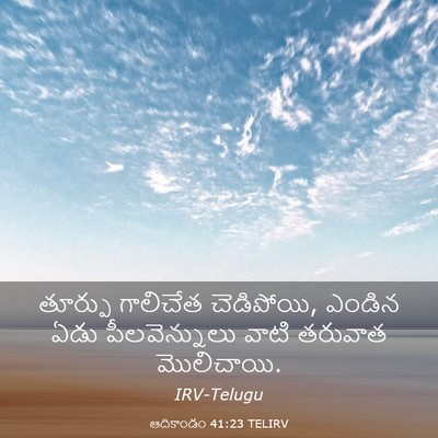 Picture 03 - ఆదికాండం 41:23 TELIRV - తూర్పు గాలిచేత - Bible Verse Picture