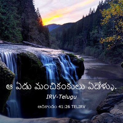 Picture 03 - ఆదికాండం 41:26 TELIRV - ఆ ఏడు మంచికంకులు - Bible Verse Picture