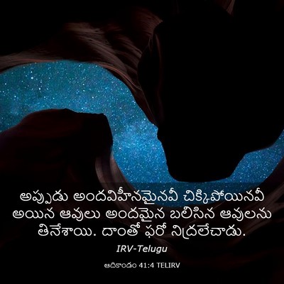 Picture 03 - ఆదికాండం 41:4 TELIRV - అప్పుడు - Bible Verse Picture