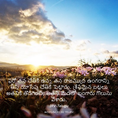 Picture 03 - ఆదికాండం 41:42 TELIRV - ఫరో తన చేతికి ఉన్న - Bible Verse Picture