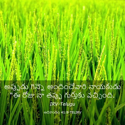 Picture 03 - ఆదికాండం 41:9 TELIRV - అప్పుడు గిన్నె - Bible Verse Picture