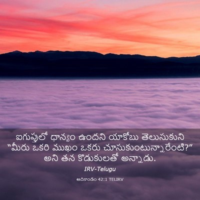 Picture 03 - ఆదికాండం 42:1 TELIRV - ఐగుప్తులో ధాన్యం - Bible Verse Picture