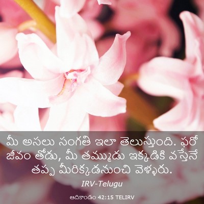 Picture 03 - ఆదికాండం 42:15 TELIRV - మీ అసలు సంగతి ఇలా - Bible Verse Picture