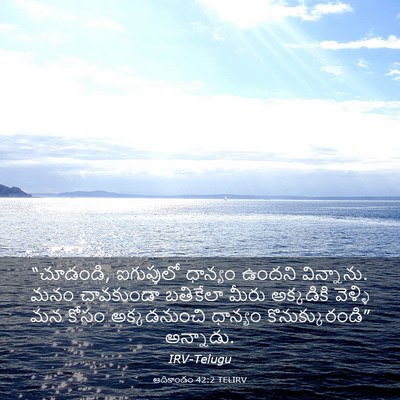 Picture 03 - ఆదికాండం 42:2 TELIRV - “చూడండి, - Bible Verse Picture
