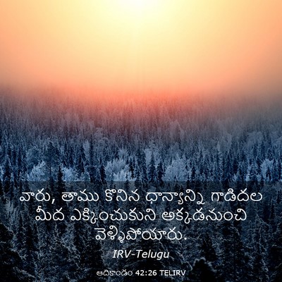 Picture 03 - ఆదికాండం 42:26 TELIRV - వారు, తాము కొనిన - Bible Verse Picture
