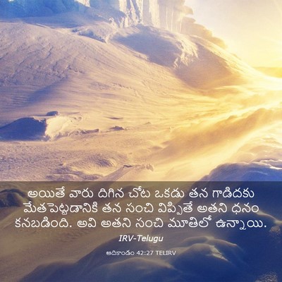 Picture 03 - ఆదికాండం 42:27 TELIRV - అయితే వారు దిగిన - Bible Verse Picture