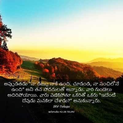 Picture 03 - ఆదికాండం 42:28 TELIRV - అప్పుడతడు “నా - Bible Verse Picture