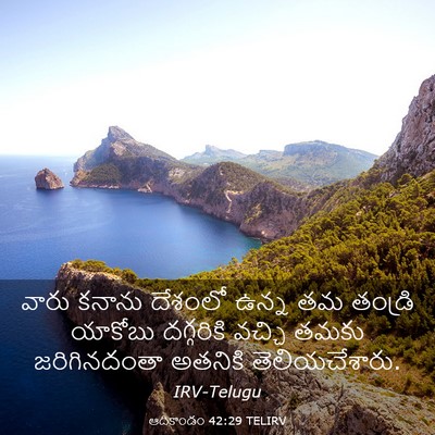 Picture 03 - ఆదికాండం 42:29 TELIRV - వారు కనాను దేశంలో - Bible Verse Picture