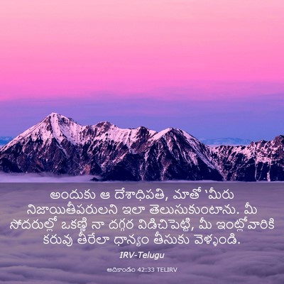 Picture 03 - ఆదికాండం 42:33 TELIRV - అందుకు ఆ - Bible Verse Picture