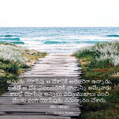 Picture 03 - ఆదికాండం 42:6 TELIRV - అప్పుడు యోసేపు ఆ - Bible Verse Picture