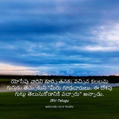 Picture 03 - ఆదికాండం 42:9 TELIRV - యోసేపు వారిని - Bible Verse Picture