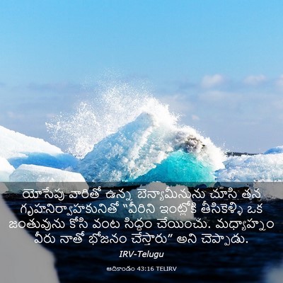 Picture 03 - ఆదికాండం 43:16 TELIRV - యోసేపు వారితో - Bible Verse Picture