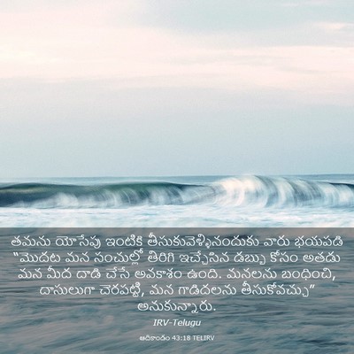 Picture 03 - ఆదికాండం 43:18 TELIRV - తమను యోసేపు - Bible Verse Picture