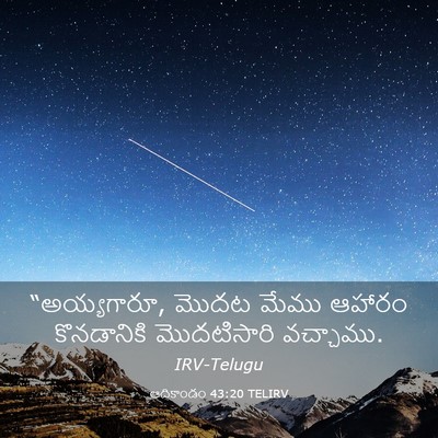 Picture 03 - ఆదికాండం 43:20 TELIRV - “అయ్యగారూ, మొదట - Bible Verse Picture