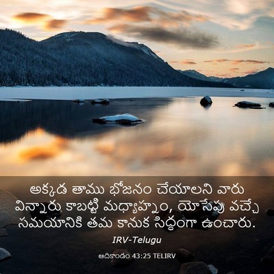 Picture 03 - ఆదికాండం 43:25 TELIRV - అక్కడ తాము భోజనం - Bible Verse Picture