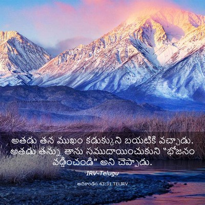 Picture 03 - ఆదికాండం 43:31 TELIRV - అతడు తన ముఖం - Bible Verse Picture