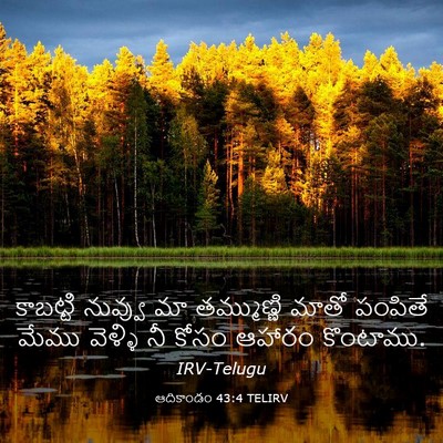 Picture 03 - ఆదికాండం 43:4 TELIRV - కాబట్టి నువ్వు మా - Bible Verse Picture