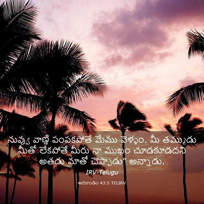 Picture 03 - ఆదికాండం 43:5 TELIRV - నువ్వు వాణ్ణి - Bible Verse Picture