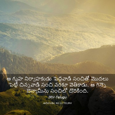 Picture 03 - ఆదికాండం 44:12 TELIRV - ఆ గృహ నిర్వాహకుడు - Bible Verse Picture