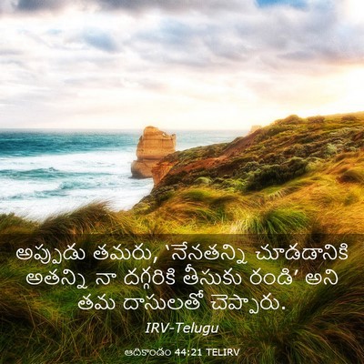 Picture 03 - ఆదికాండం 44:21 TELIRV - అప్పుడు తమరు, - Bible Verse Picture