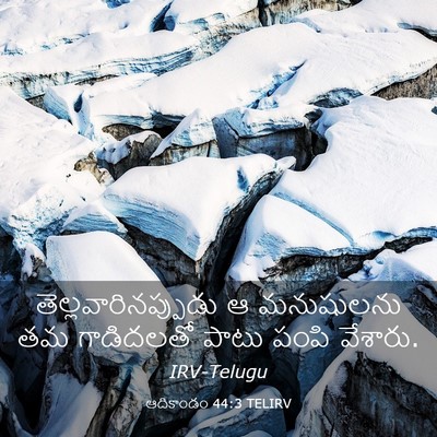 Picture 03 - ఆదికాండం 44:3 TELIRV - తెల్లవారినప్పుడు - Bible Verse Picture