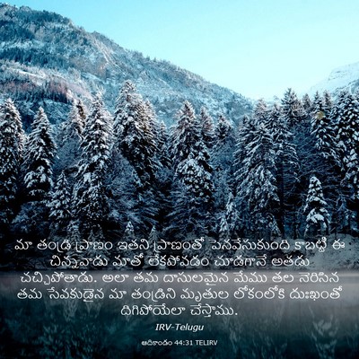 Picture 03 - ఆదికాండం 44:31 TELIRV - మా తండ్రి ప్రాణం - Bible Verse Picture
