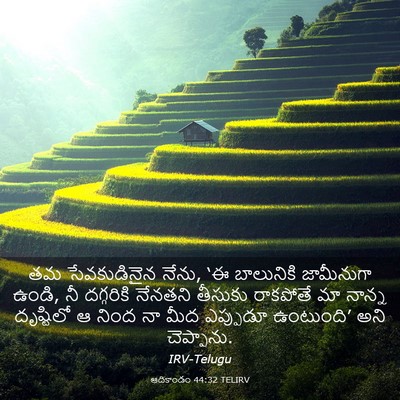 Picture 03 - ఆదికాండం 44:32 TELIRV - తమ సేవకుడినైన - Bible Verse Picture