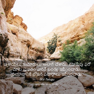 Picture 03 - ఆదికాండం 45:21 TELIRV - ఇశ్రాయేలు - Bible Verse Picture