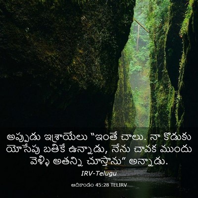 Picture 03 - ఆదికాండం 45:28 TELIRV - అప్పుడు ఇశ్రాయేలు - Bible Verse Picture