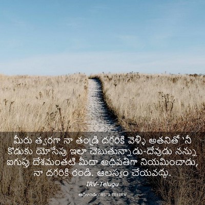 Picture 03 - ఆదికాండం 45:9 TELIRV - మీరు త్వరగా నా - Bible Verse Picture