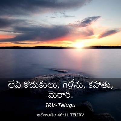 Picture 03 - ఆదికాండం 46:11 TELIRV - లేవి కొడుకులు, - Bible Verse Picture