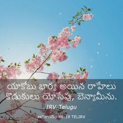 Picture 03 - ఆదికాండం 46:19 TELIRV - యాకోబు భార్య అయిన - Bible Verse Picture