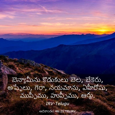 Picture 03 - ఆదికాండం 46:21 TELIRV - బెన్యామీను - Bible Verse Picture