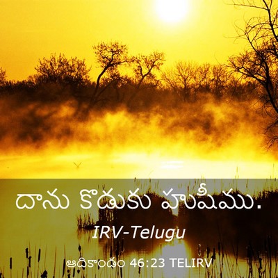Picture 03 - ఆదికాండం 46:23 TELIRV - దాను కొడుకు - Bible Verse Picture