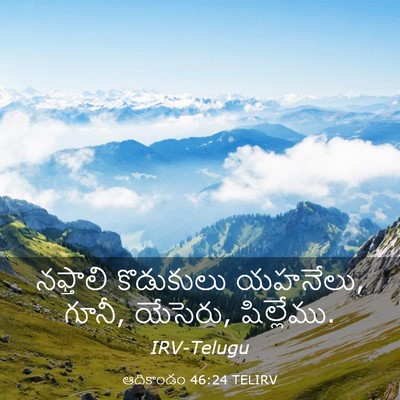 Picture 03 - ఆదికాండం 46:24 TELIRV - నఫ్తాలి కొడుకులు - Bible Verse Picture
