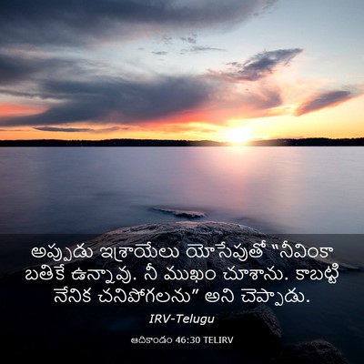 Picture 03 - ఆదికాండం 46:30 TELIRV - అప్పుడు ఇశ్రాయేలు - Bible Verse Picture