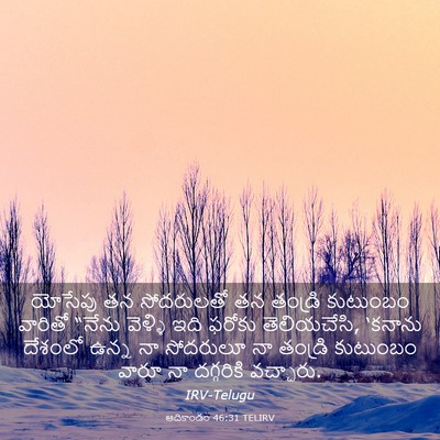Picture 03 - ఆదికాండం 46:31 TELIRV - యోసేపు తన - Bible Verse Picture