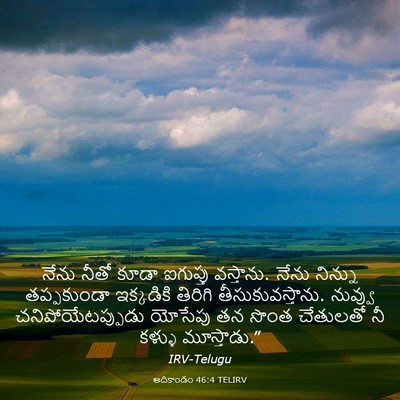 Picture 03 - ఆదికాండం 46:4 TELIRV - నేను నీతో కూడా - Bible Verse Picture