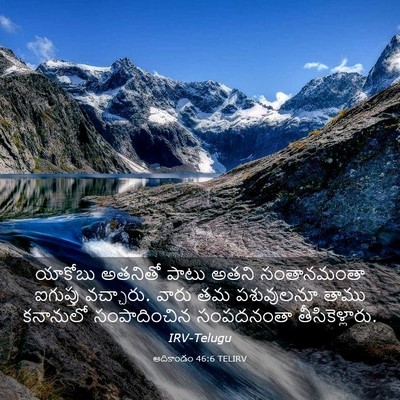 Picture 03 - ఆదికాండం 46:6 TELIRV - యాకోబు అతనితో - Bible Verse Picture