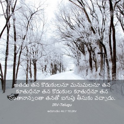 Picture 03 - ఆదికాండం 46:7 TELIRV - అతడు తన కొడుకులనూ - Bible Verse Picture
