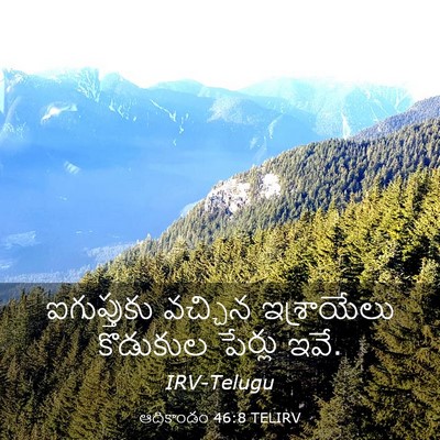 Picture 03 - ఆదికాండం 46:8 TELIRV - ఐగుప్తుకు వచ్చిన - Bible Verse Picture