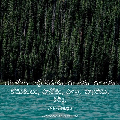 Picture 03 - ఆదికాండం 46:9 TELIRV - యాకోబు పెద్ద - Bible Verse Picture