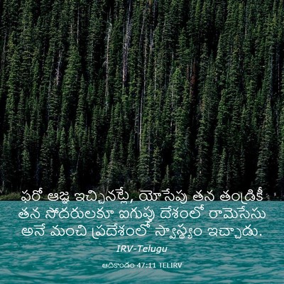 Picture 03 - ఆదికాండం 47:11 TELIRV - ఫరో ఆజ్ఞ - Bible Verse Picture