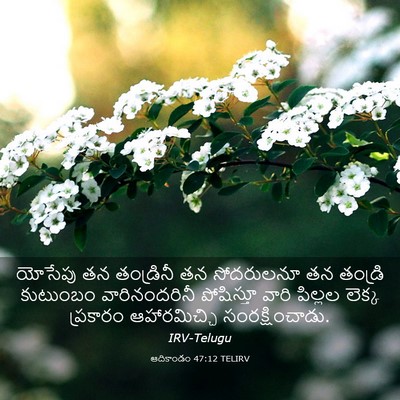 Picture 03 - ఆదికాండం 47:12 TELIRV - యోసేపు తన - Bible Verse Picture