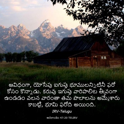 Picture 03 - ఆదికాండం 47:20 TELIRV - ఆవిధంగా, యోసేపు - Bible Verse Picture