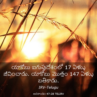 Picture 03 - ఆదికాండం 47:28 TELIRV - యాకోబు - Bible Verse Picture