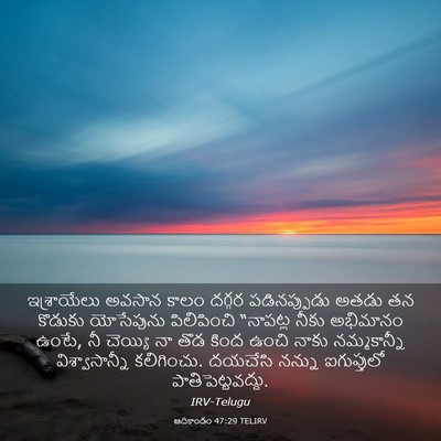 Picture 03 - ఆదికాండం 47:29 TELIRV - ఇశ్రాయేలు అవసాన - Bible Verse Picture